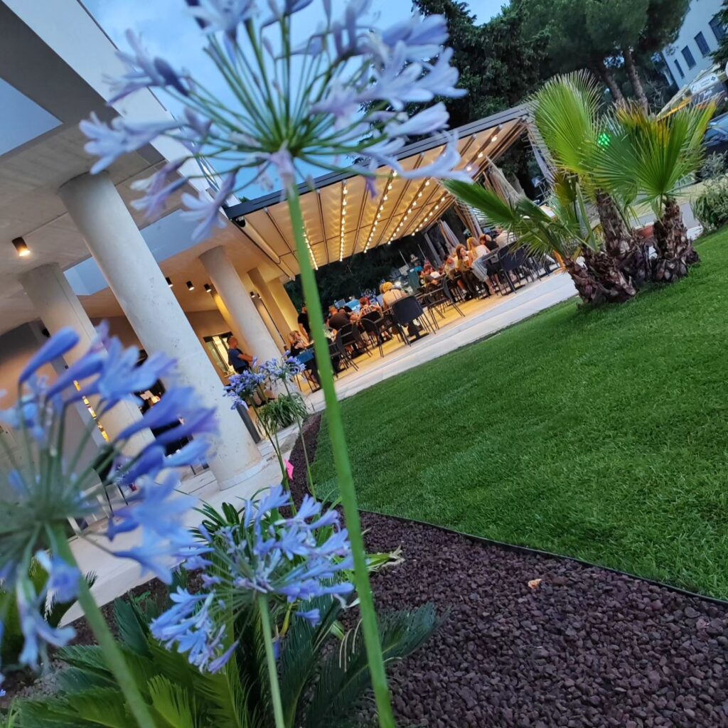 Gallery-Yard