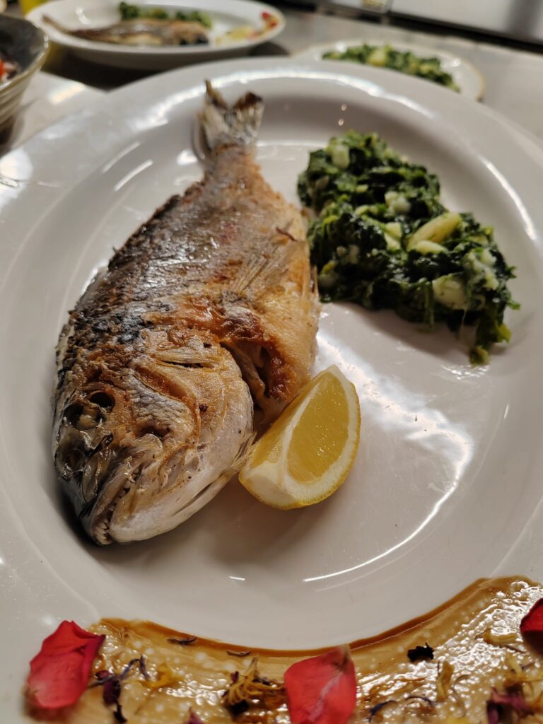 Gallery-Fish